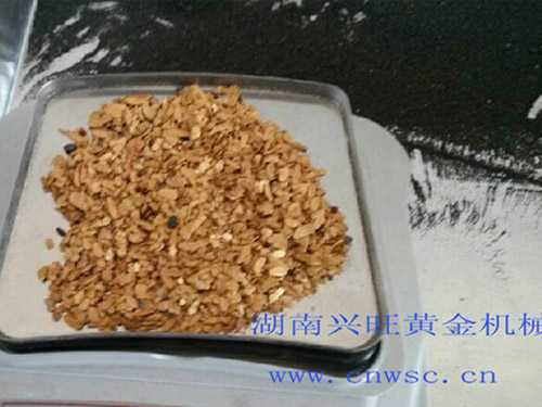 黃金豐收168號(hào) 黃金豐收168號(hào)